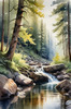 Enchanted Forest Brook Cascading Over Rocks with Tree and Sky Reflections Art Print