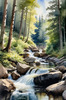 Enchanted Forest Brook Cascading Over Rocks with Tree and Sky Reflections Art Print