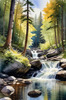 Enchanted Forest Brook Cascading Over Rocks with Tree and Sky Reflections Art Print