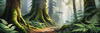 Misty Old-Growth Rainforest with Moss-Covered Trees and Vibrant Ferns Wall Art