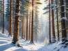 Enchanted Snowy Pine Forest with Sunlight Piercing Through Canopy