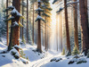 Enchanted Snowy Pine Forest with Sunlight Piercing Through Canopy