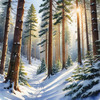 Enchanted Snowy Pine Forest with Sunlight Piercing Through Canopy
