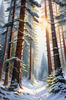 Enchanted Snowy Pine Forest with Sunlight Piercing Through Canopy