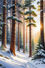 Enchanted Snowy Pine Forest with Sunlight Piercing Through Canopy
