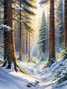 Enchanted Snowy Pine Forest with Sunlight Piercing Through Canopy