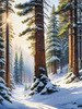 Enchanted Snowy Pine Forest with Sunlight Piercing Through Canopy