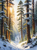 Enchanted Snowy Pine Forest with Sunlight Piercing Through Canopy