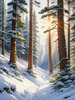 Enchanted Snowy Pine Forest with Sunlight Piercing Through Canopy