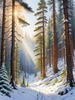 Enchanted Snowy Pine Forest with Sunlight Piercing Through Canopy