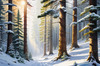 Enchanted Snowy Pine Forest with Sunlight Piercing Through Canopy