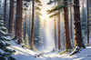 Enchanted Snowy Pine Forest with Sunlight Piercing Through Canopy