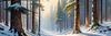 Enchanted Snowy Pine Forest with Sunlight Piercing Through Canopy