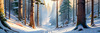 Enchanted Snowy Pine Forest with Sunlight Piercing Through Canopy