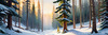 Enchanted Snowy Pine Forest with Sunlight Piercing Through Canopy