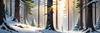 Enchanted Snowy Pine Forest with Sunlight Piercing Through Canopy