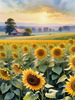 Fields of Sunflowers Facing the Setting Sun with Orange and Yellow Glow