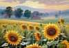 Fields of Sunflowers Facing the Setting Sun with Orange and Yellow Glow