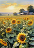 Fields of Sunflowers Facing the Setting Sun with Orange and Yellow Glow