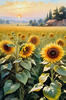 Fields of Sunflowers Facing the Setting Sun with Orange and Yellow Glow