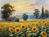 Fields of Sunflowers Facing the Setting Sun with Orange and Yellow Glow