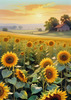 Fields of Sunflowers Facing the Setting Sun with Orange and Yellow Glow