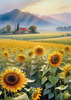 Fields of Sunflowers Facing the Setting Sun with Orange and Yellow Glow