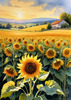 Fields of Sunflowers Facing the Setting Sun with Orange and Yellow Glow