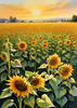 Fields of Sunflowers Facing the Setting Sun with Orange and Yellow Glow