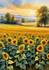 Fields of Sunflowers Facing the Setting Sun with Orange and Yellow Glow