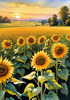 Fields of Sunflowers Facing the Setting Sun with Orange and Yellow Glow