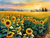 Fields of Sunflowers Facing the Setting Sun with Orange and Yellow Glow