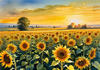 Fields of Sunflowers Facing the Setting Sun with Orange and Yellow Glow