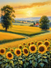 Fields of Sunflowers Facing the Setting Sun with Orange and Yellow Glow