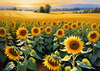 Fields of Sunflowers Facing the Setting Sun with Orange and Yellow Glow