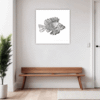Exotic Spiny Lionfish Hallway Demo