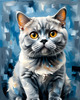 Expressive Blue and Gray British Shorthair Cat Printable Art