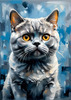 Expressive Blue and Gray British Shorthair Cat Printable Art