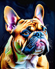 Expressive Bulldog Art Print with Textured Paint Detail