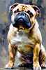 Expressive Bulldog Art Print with Textured Paint Detail