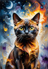 Expressive Burmese Cat with Piercing Gaze Art Print