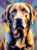 Artistic Expressive Labrador Retriever Face Art Print
