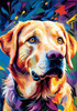 Artistic Expressive Labrador Retriever Face Art Print