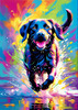 Artistic Expressive Labrador Retriever Face Art Print