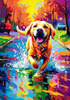 Artistic Expressive Labrador Retriever Face Art Print