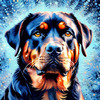Expressive Rottweiler Art Print with Shield-like Patterns