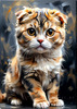 Expressive Scottish Fold Cat Art Print - A Mix of Wonder and Melancholy