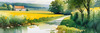 Fields of Green and Gold Divided by Old Stone Walls Landscape Print