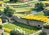 Fields of Green and Gold Divided by Old Stone Walls Landscape Print