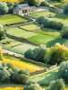 Fields of Green and Gold Divided by Old Stone Walls Landscape Print